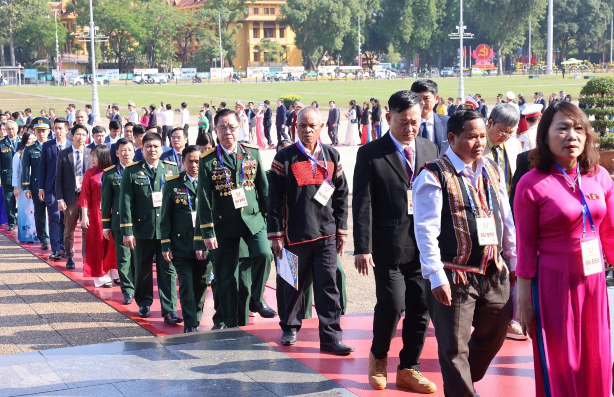 Hành trình nửa thế kỷ bền bỉ, khát vọng vì giống lúa Việt