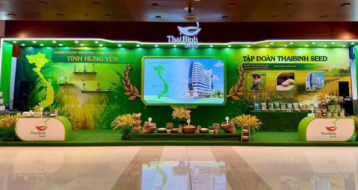 Hành trình nửa thế kỷ bền bỉ, khát vọng vì giống lúa Việt