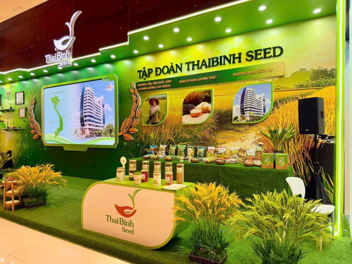 Hành trình nửa thế kỷ bền bỉ, khát vọng vì giống lúa Việt