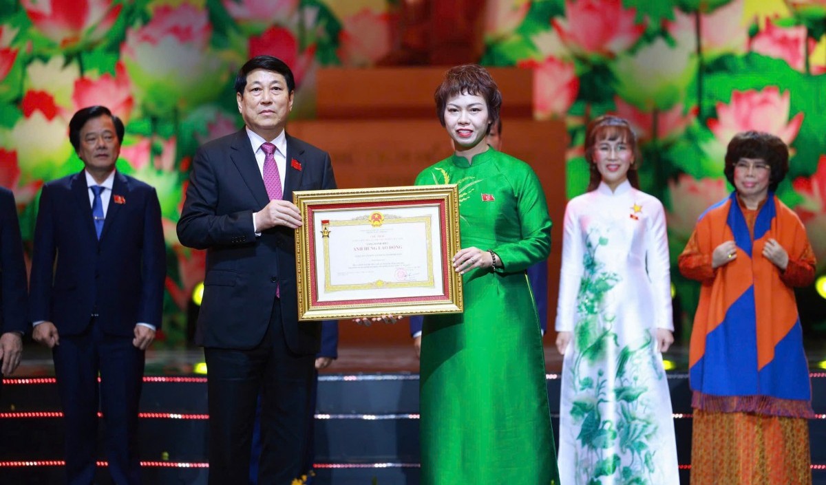 Hành trình nửa thế kỷ bền bỉ, khát vọng vì giống lúa Việt