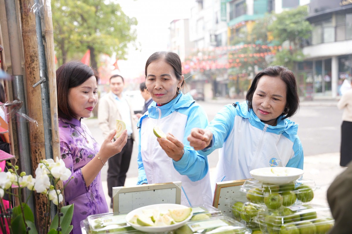 Đến Hội chợ OCOP xã Vân Đình, thưởng thức tinh hoa chả vịt và nông sản xứ Đoài Vân Đình: Khai mạc Hội chợ OCOP Mùa Xuân, lan tỏa giá trị nông sản địa phương