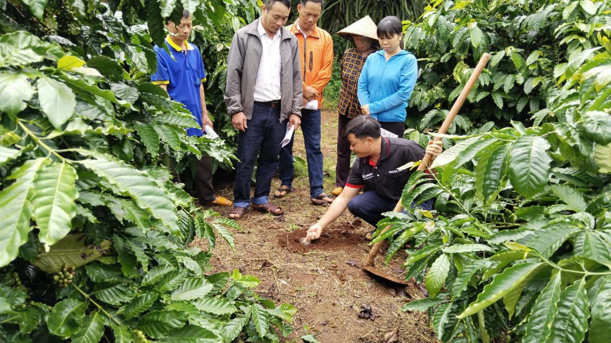 Nestlé Việt Nam đẩy mạnh trách nhiệm cộng đồng, tiếp tục mở rộng đầu tư và đóng góp tích cực cho nền kinh tế