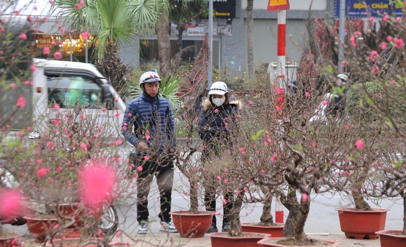 Suối Hai sắp diễn ra Chợ hoa Xuân Suối Hai sắp diễn ra Chợ hoa Xuân