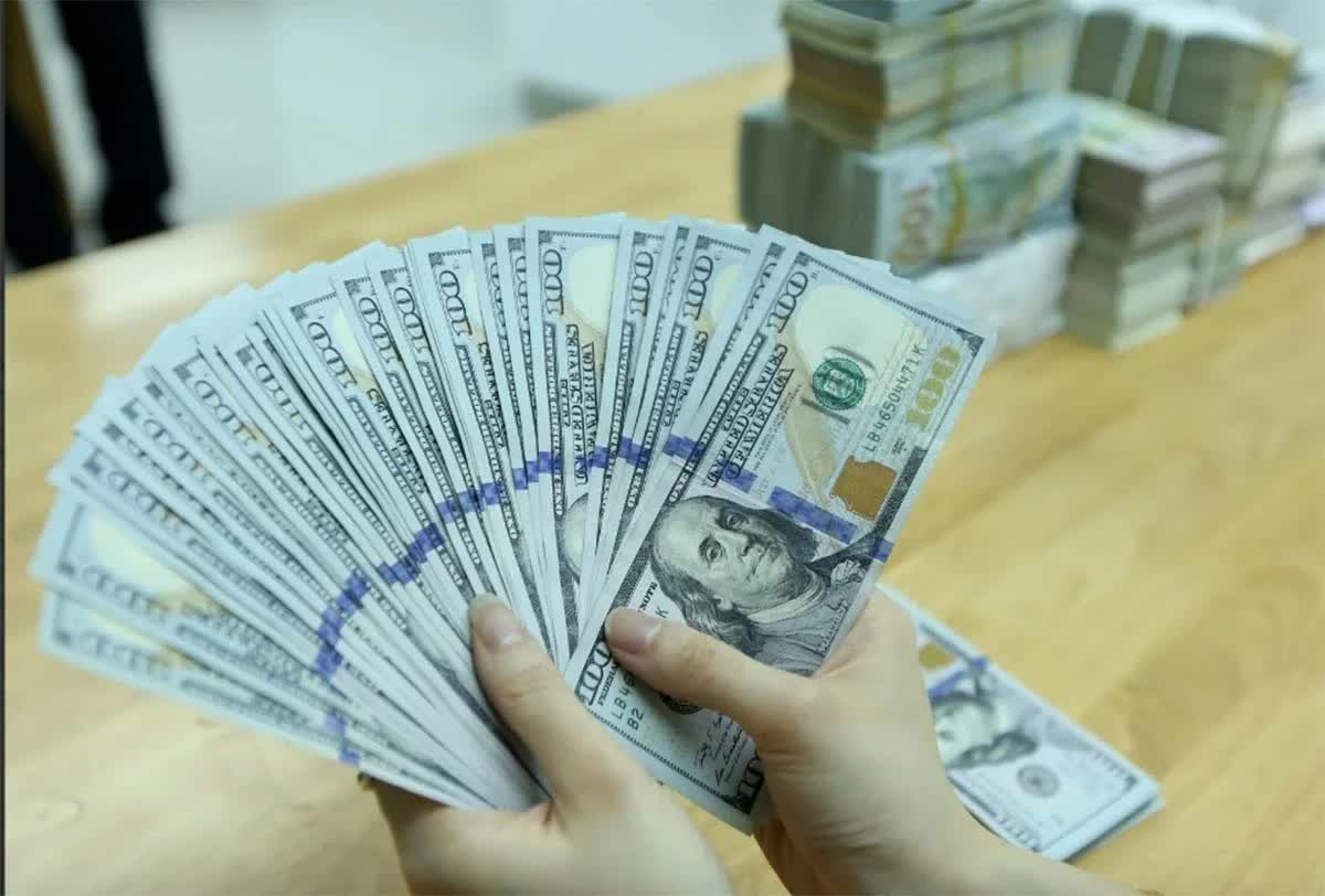 Tỷ giá USD hôm nay (10/1): Giá USD 
