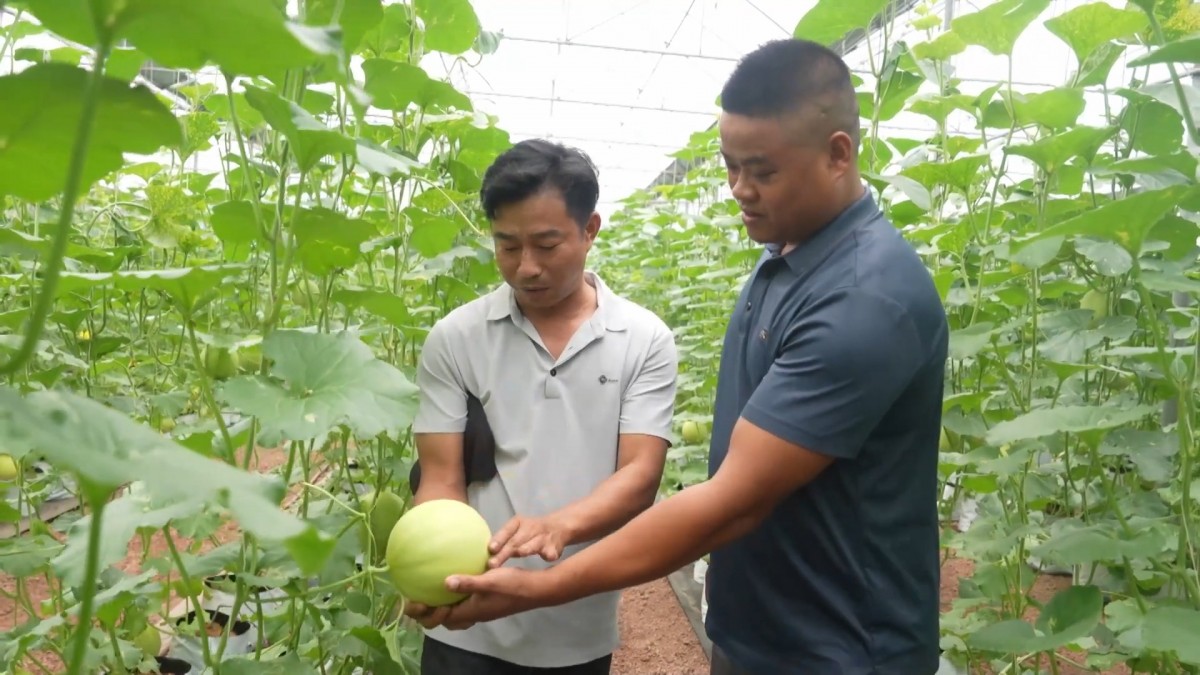 Hòa Xá: Tự Tin Bước Vào Chặng Đường Mới Với Niềm Tin Và Kỳ Vọng Mới