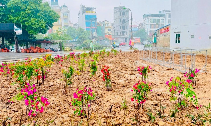 Xã Nam Phù Rực Rỡ Cờ Hoa, Thi Đua Lập Thành Tích Chào Mừng Đại Hội Xiv Của Đảng