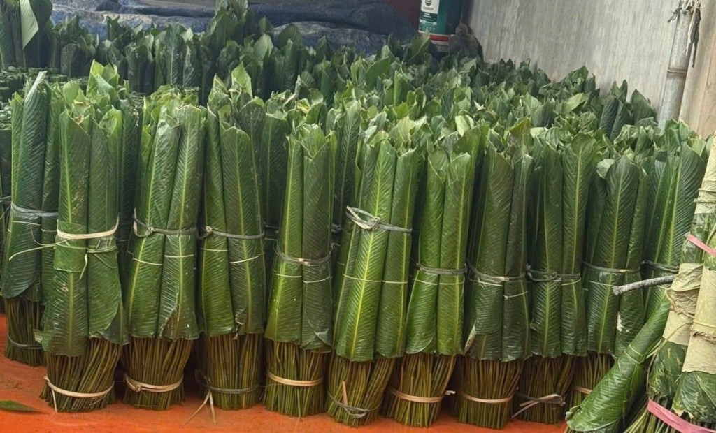 Hương vị Tết ở làng lá dong Tràng Cát Hương vị Tết ở làng lá dong Tràng Cát