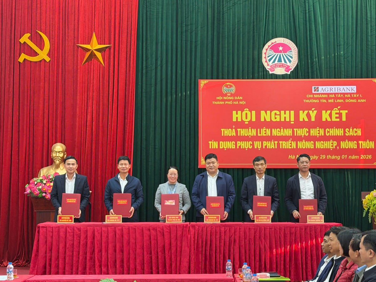 Tăng cường hợp tác tín dụng, mở rộng cơ hội tiếp cận vốn cho nông dân phát triển sản xuất Tăng cường hợp tác tín dụng, mở rộng cơ hội tiếp cận vốn cho nông dân phát triển sản xuất