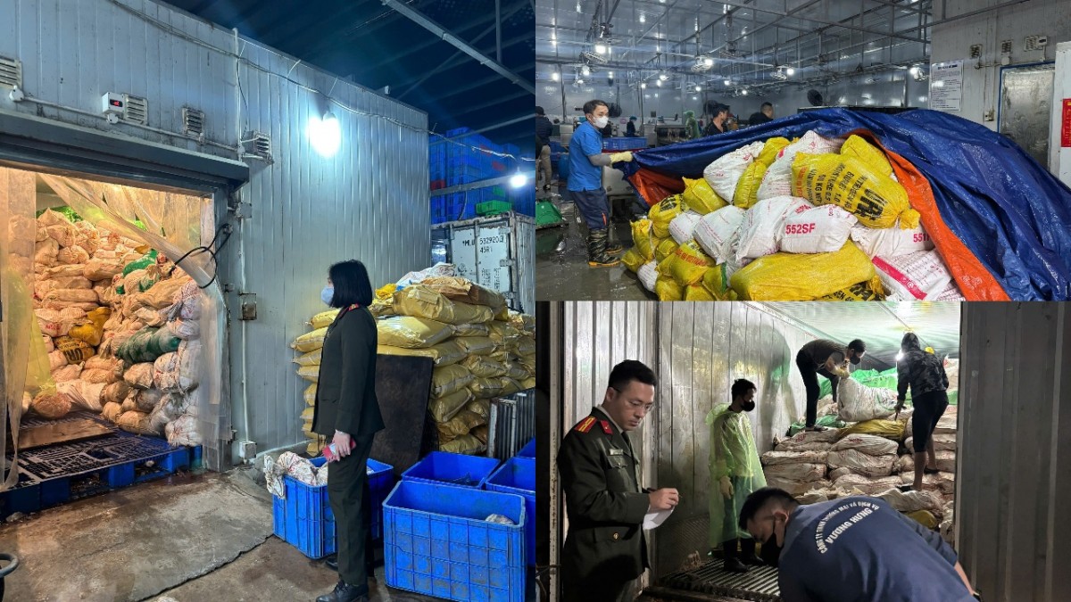 Hà Nội: Phát hiện hơn 60 tấn lòng lợn bốc mùi hôi thối tại xã Nam Phù