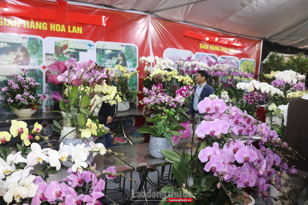 Triển l&atilde;m thủ c&ocirc;ng mỹ nghệ Xu&acirc;n B&iacute;nh Ngọ 2026: Th&uacute;c đẩy ti&ecirc;u d&ugrave;ng v&agrave; s&aacute;ng tạo l&agrave;ng nghề