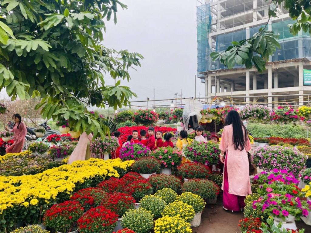 Quất vàng, đào hồng nhuộm thắm phố phường ngày Tết