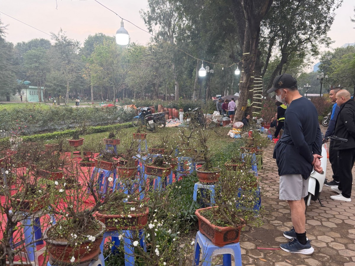 Chợ hoa Tết rộn ràng sắc Xuân, người dân Thủ đô háo hức mua sắm