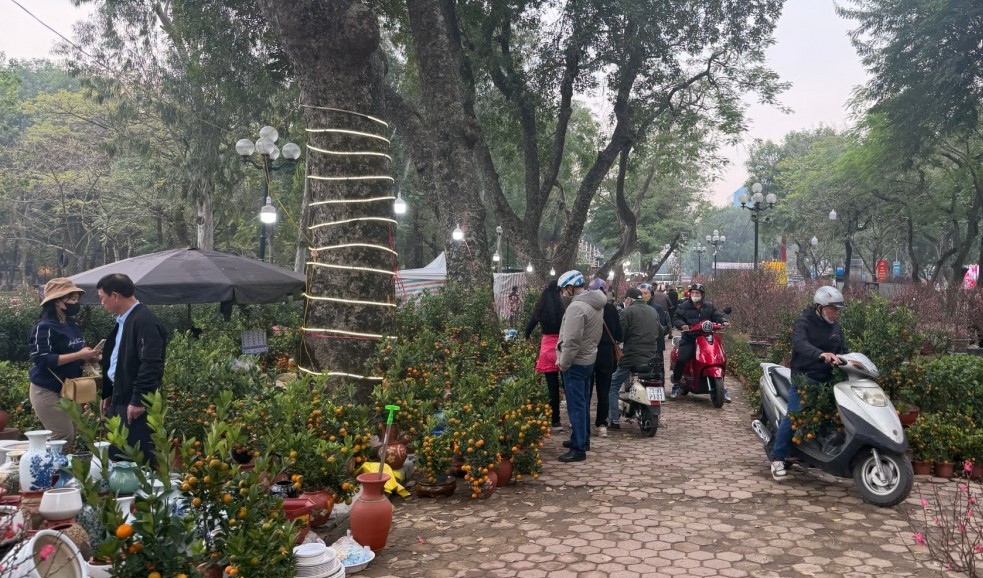 Chợ hoa Tết rộn ràng sắc Xuân, người dân Thủ đô háo hức mua sắm