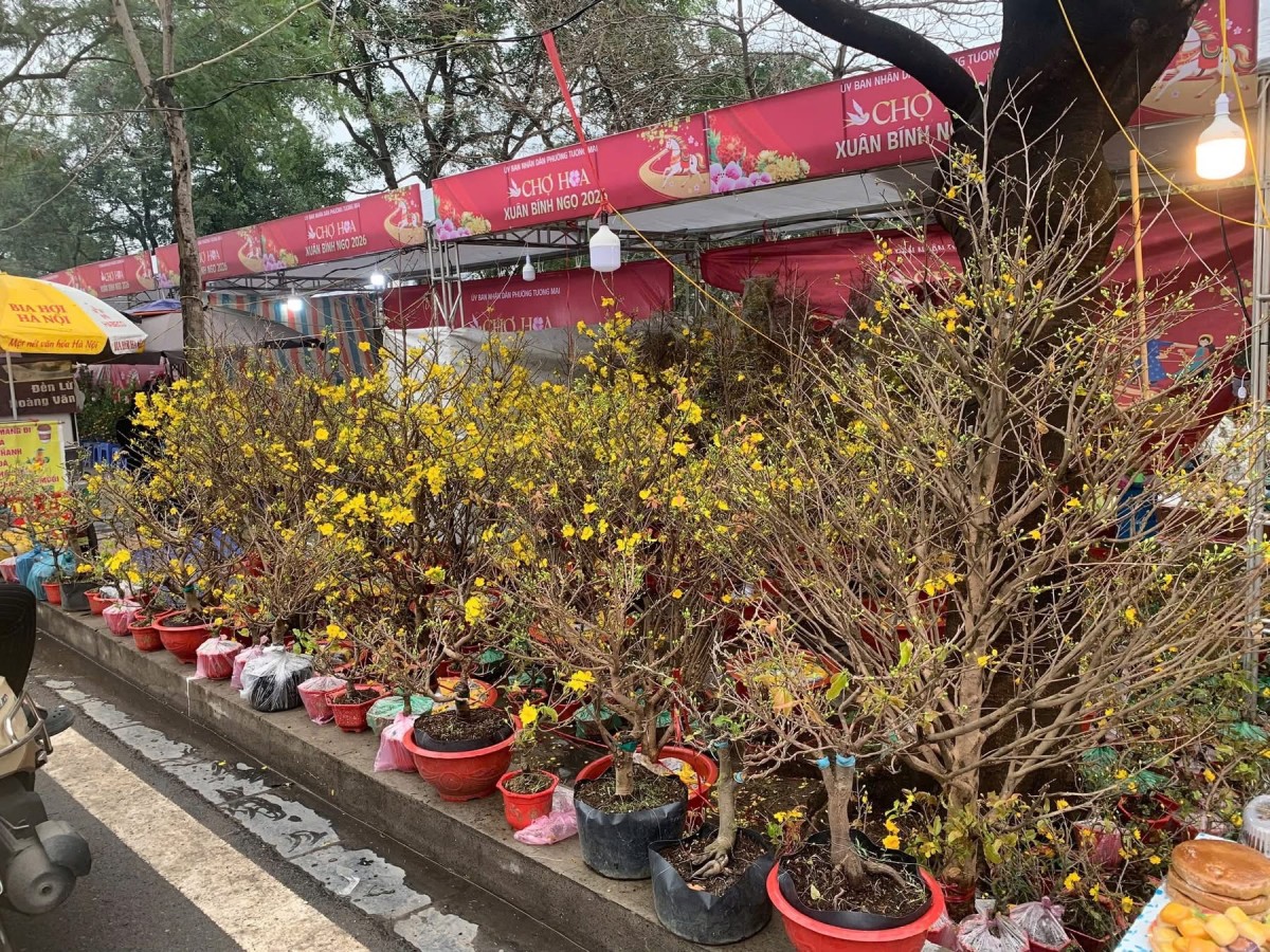 Chợ hoa Tết rộn ràng sắc Xuân, người dân Thủ đô háo hức mua sắm