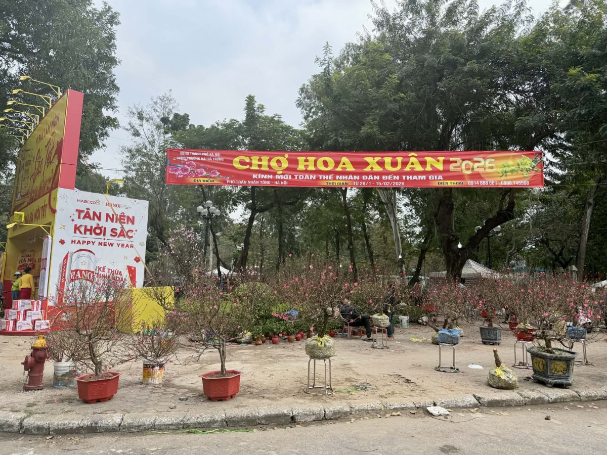 Chợ Hoa Tết Văn Minh, Người Dân Vui Mừng, Phấn Khởi Chợ Hoa Tết Văn Minh, Người Dân Vui Mừng, Phấn Khởi