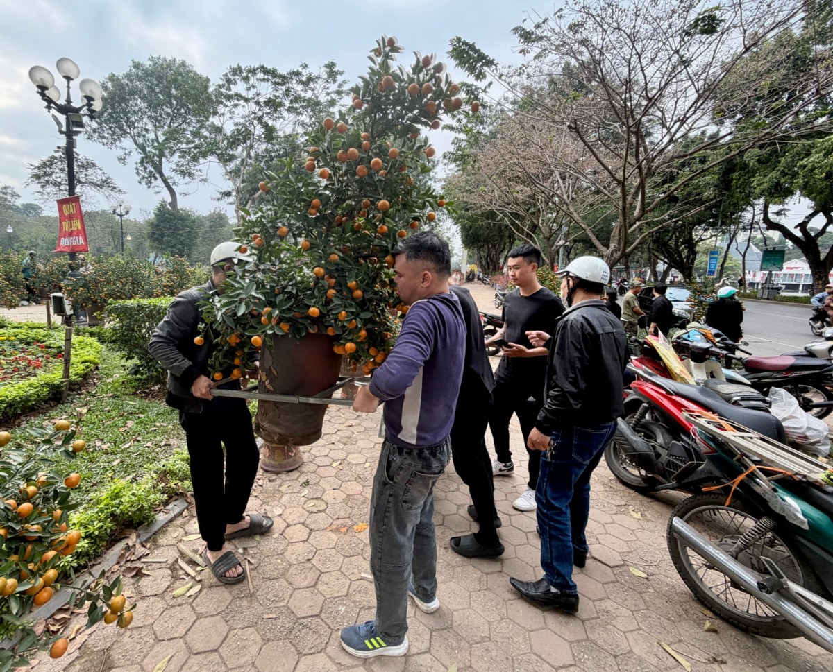 Chợ Hoa Tết Văn Minh, Người Dân Vui Mừng, Phấn Khởi Chợ Hoa Tết Văn Minh, Người Dân Vui Mừng, Phấn Khởi