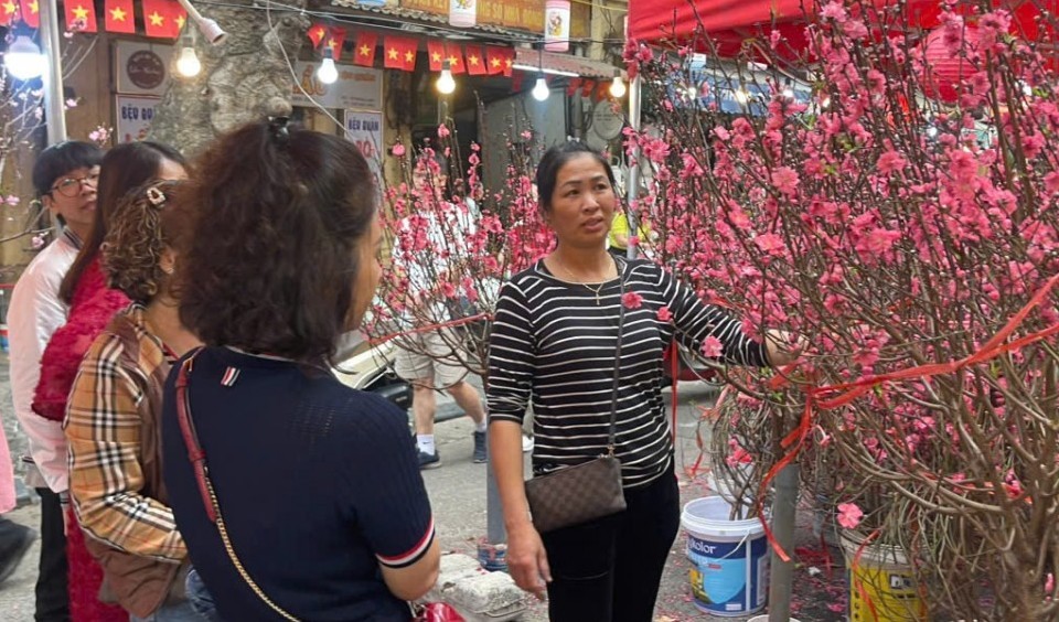 Không khí sắm Tết nhộn nhịp tại Hà Nội những ngày giáp Tết