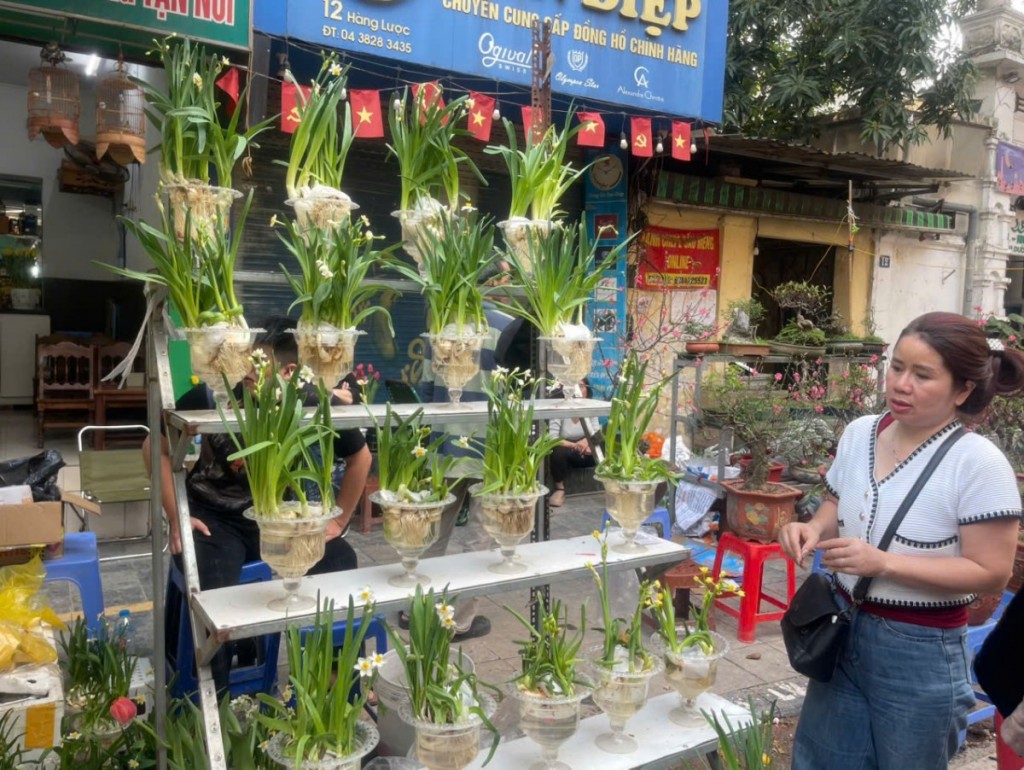 Không khí sắm Tết nhộn nhịp tại Hà Nội những ngày giáp Tết Không khí sắm Tết nhộn nhịp tại Hà Nội những ngày giáp Tết