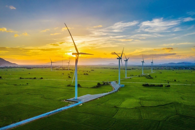 Năm 2026: Dòng vốn sẽ chảy về đâu để sinh lời bền vững?