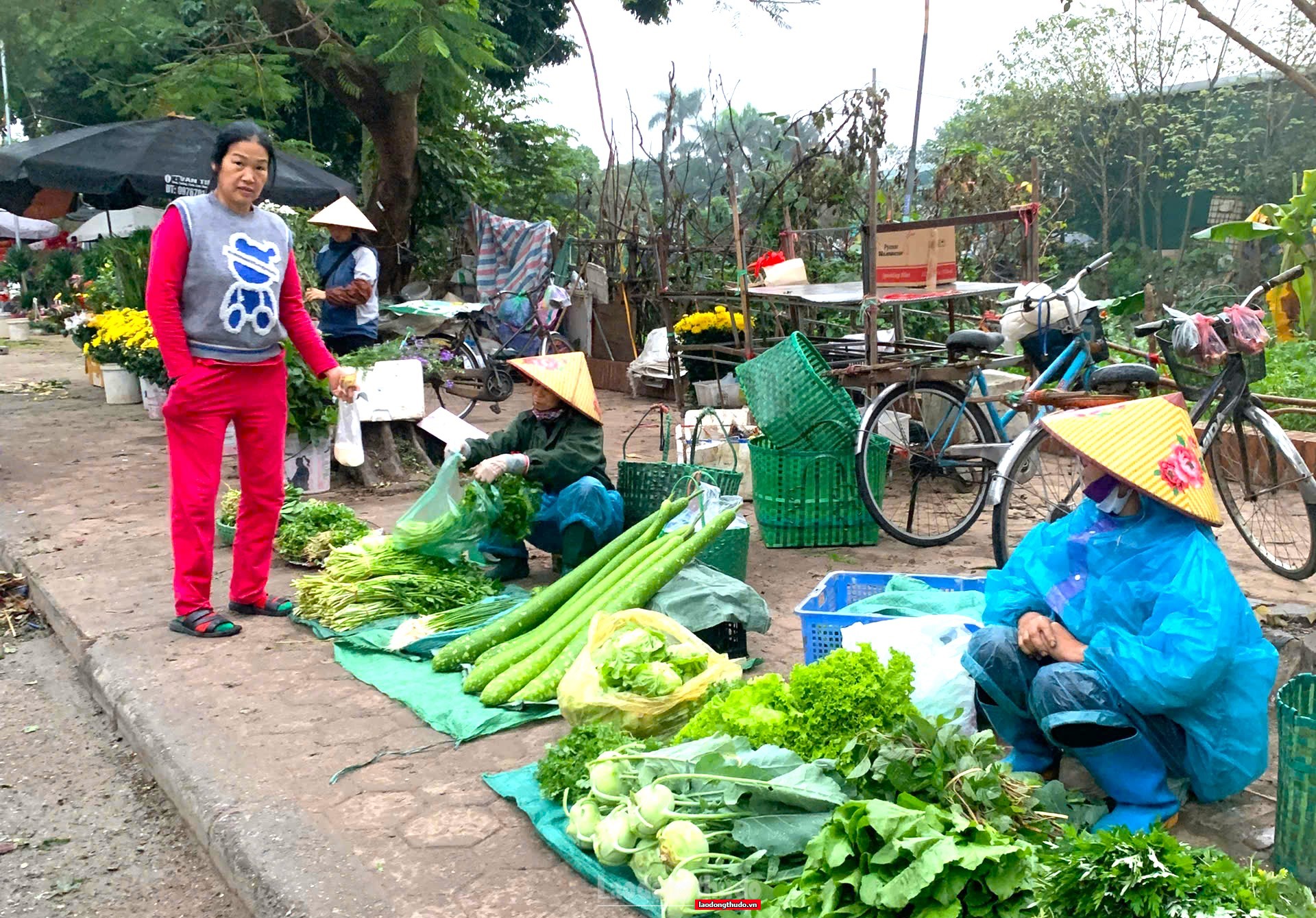Hà Nội: Không để xảy ra khan hàng, giá cả ổn định trong 5 ngày Tết Hà Nội: Không để xảy ra khan hàng, giá cả ổn định trong 5 ngày Tết