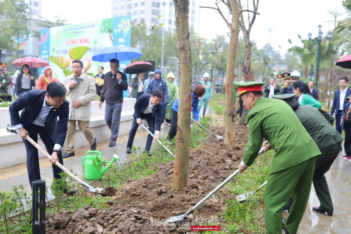 Phường Tây Hồ phát động Tết trồng cây Xuân Bính Ngọ 2026: Lan tỏa tinh thần sống xanh từ cơ sở