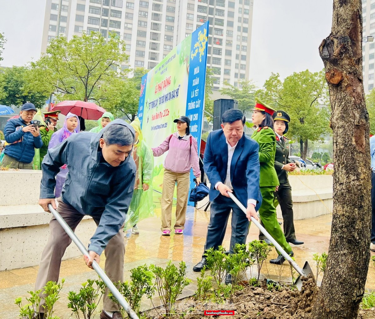 Phường Tây Hồ phát động Tết trồng cây Xuân Bính Ngọ 2026: Lan tỏa tinh thần sống xanh từ cơ sở