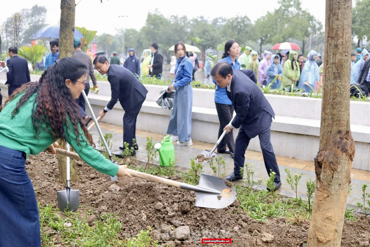 Phường Tây Hồ phát động Tết trồng cây Xuân Bính Ngọ 2026: Lan tỏa tinh thần sống xanh từ cơ sở