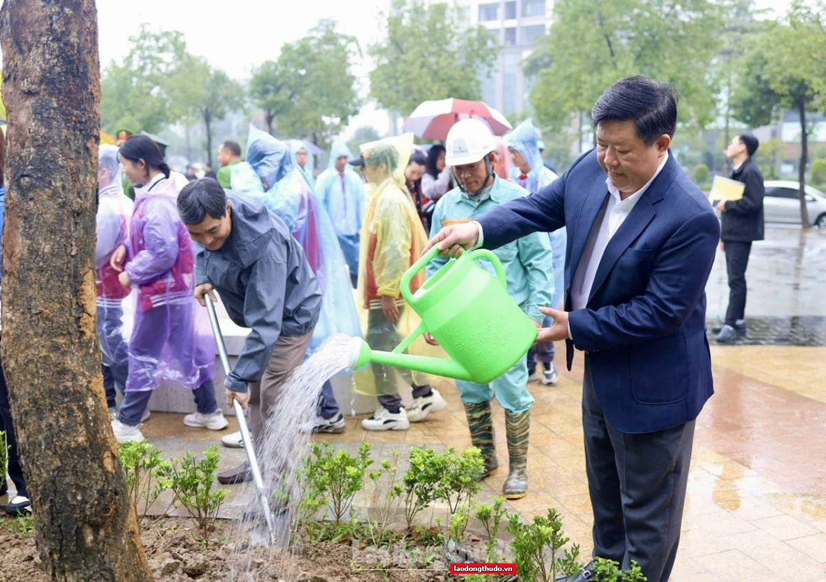 Phường Tây Hồ phát động Tết trồng cây Xuân Bính Ngọ 2026: Lan tỏa tinh thần sống xanh từ cơ sở