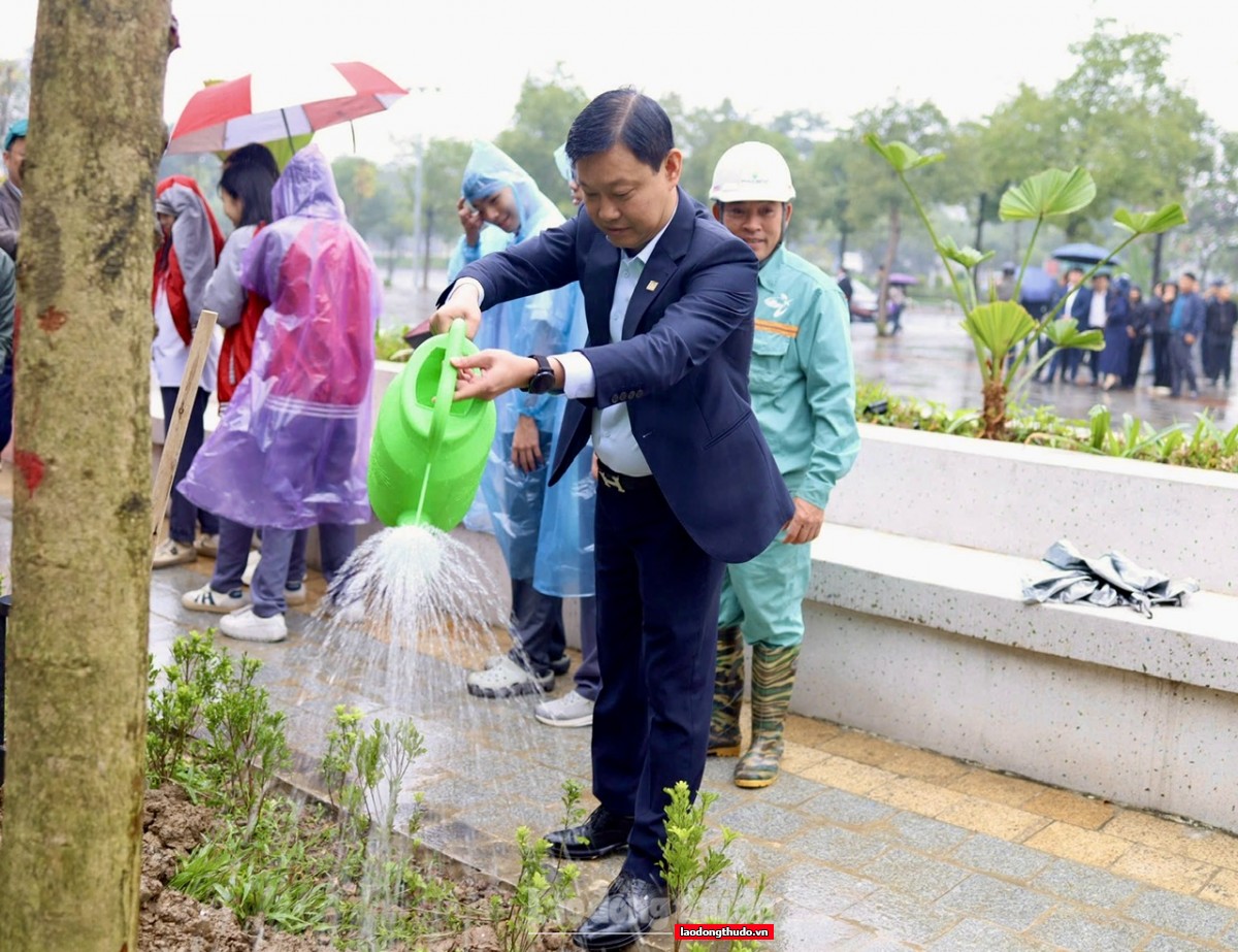 Phường Tây Hồ phát động Tết trồng cây Xuân Bính Ngọ 2026: Lan tỏa tinh thần sống xanh từ cơ sở