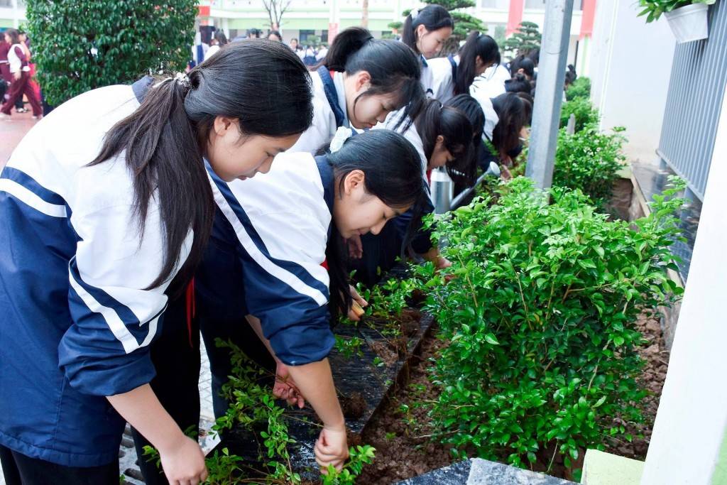Giáo dục ý thức bảo vệ môi trường cho học sinh qua Tết trồng cây