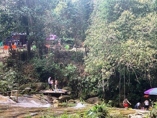 Quảng Bình: Xem xét hai điểm du lịch hoạt động 'chui' giữa rừng phòng hộ