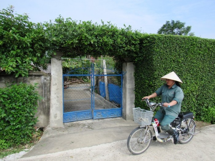 Hà Tĩnh: Ngắm cổng nhà độc lạ chỉ có ở Đức Thọ