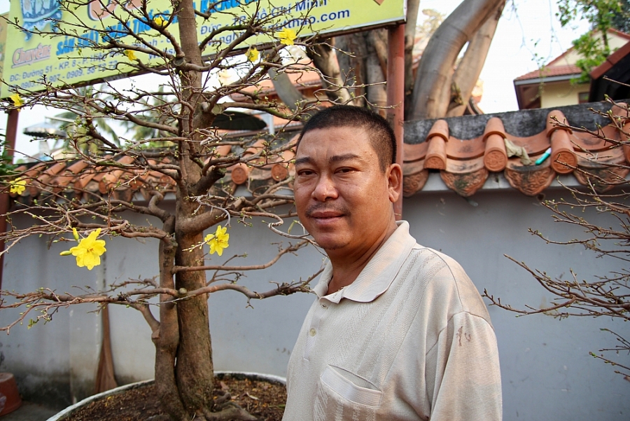 Thành phố Hồ Chí Minh: Chủ vườn đưa mai Tết xuống phố, sức mua tăng gấp 2 - 3 lần