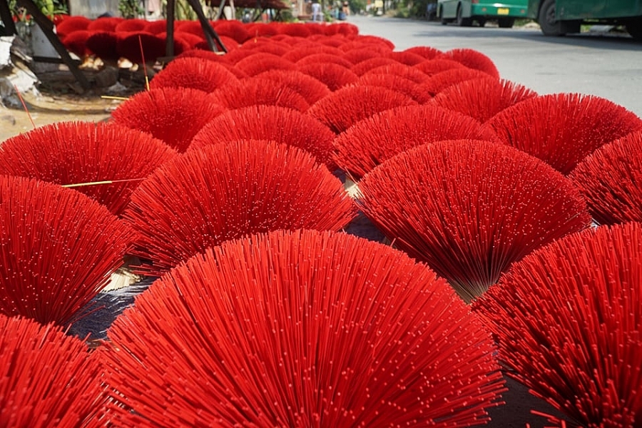 Làng nhang ở thành phố Hồ Chí Minh rực rỡ sắc màu những ngày cận Tết
