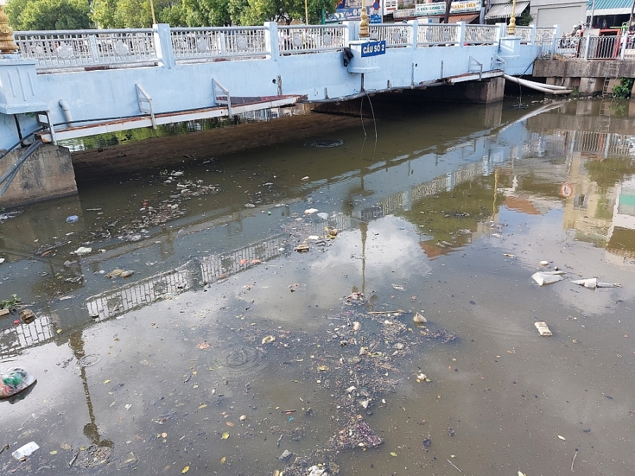 TP.HCM: Rác thải, cá chết phủ kín mặt nước trên kênh Nhiêu Lộc - Thị Nghè