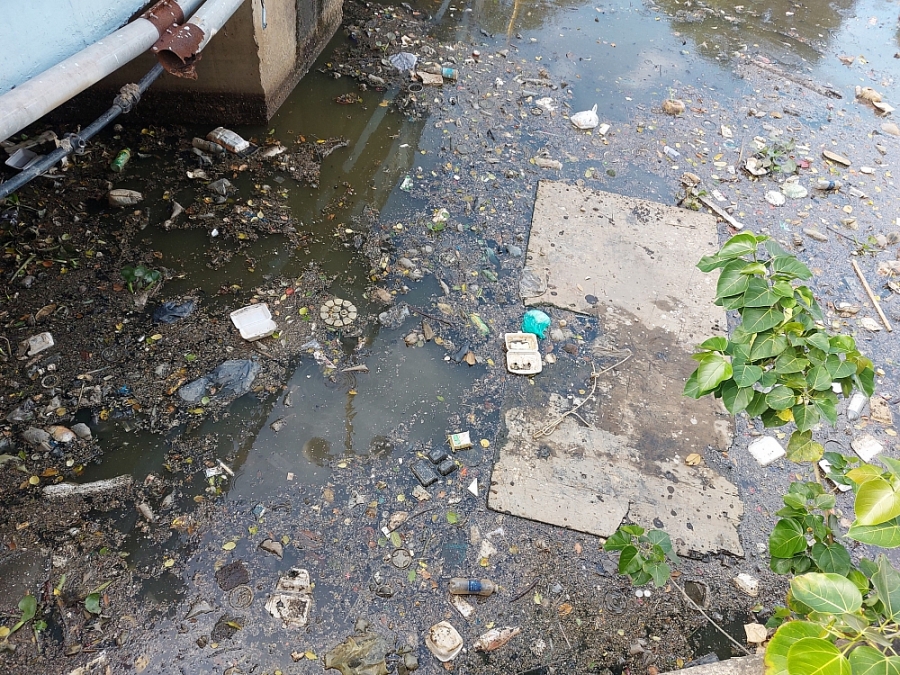 TP.HCM: Rác thải, cá chết phủ kín mặt nước trên kênh Nhiêu Lộc - Thị Nghè