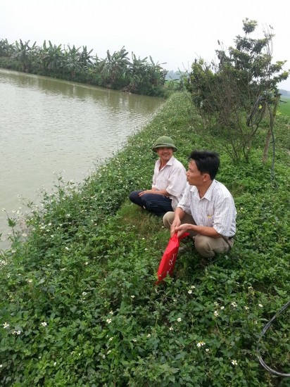 Dự án nuôi trồng thủy sản ở Ba Vì: Hé lộ nhiều sai phạm