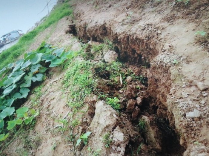 Huyện Ba Vì: Cần xử lý nghiêm việc khai thác cát trái phép