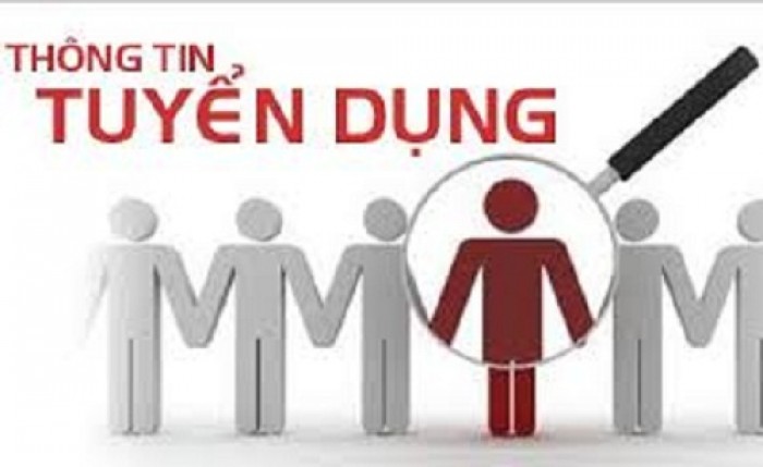 Chỉ tiêu các doanh nghiệp đang cần tuyển dụng