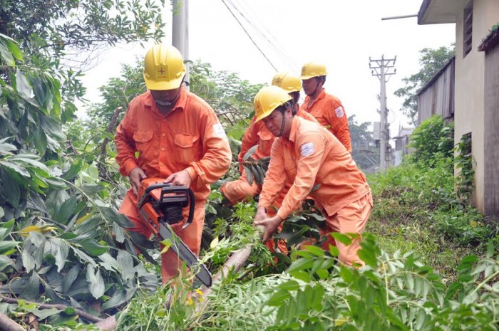 EVN HANOI: Chủ động giải pháp an toàn lưới điện mùa mưa bão