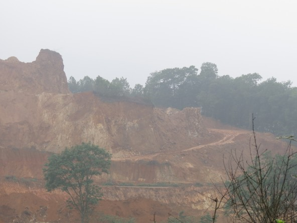 Hơn 1.000 ha đất nông trường: Vì sao đang vô chủ?