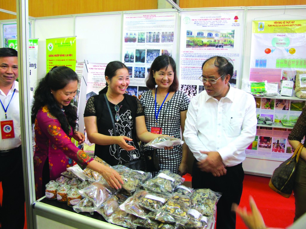 muon sac tet lao dong nam 2016