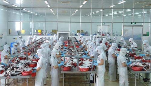   Hơn 90% lao động Công ty CP Kinh doanh Thủy hải sản Sài Gòn (KCN Tân Tạo, TP HCM) đã trở lại làm việc trong ngày đầu tiên Ảnh: Hồng Đào  