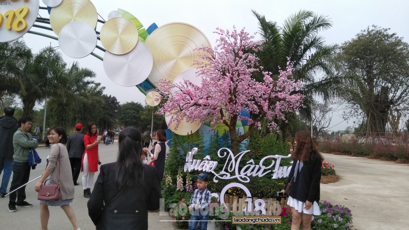 du khach lac loi trong rung hoa le hoi xuan 3 mien