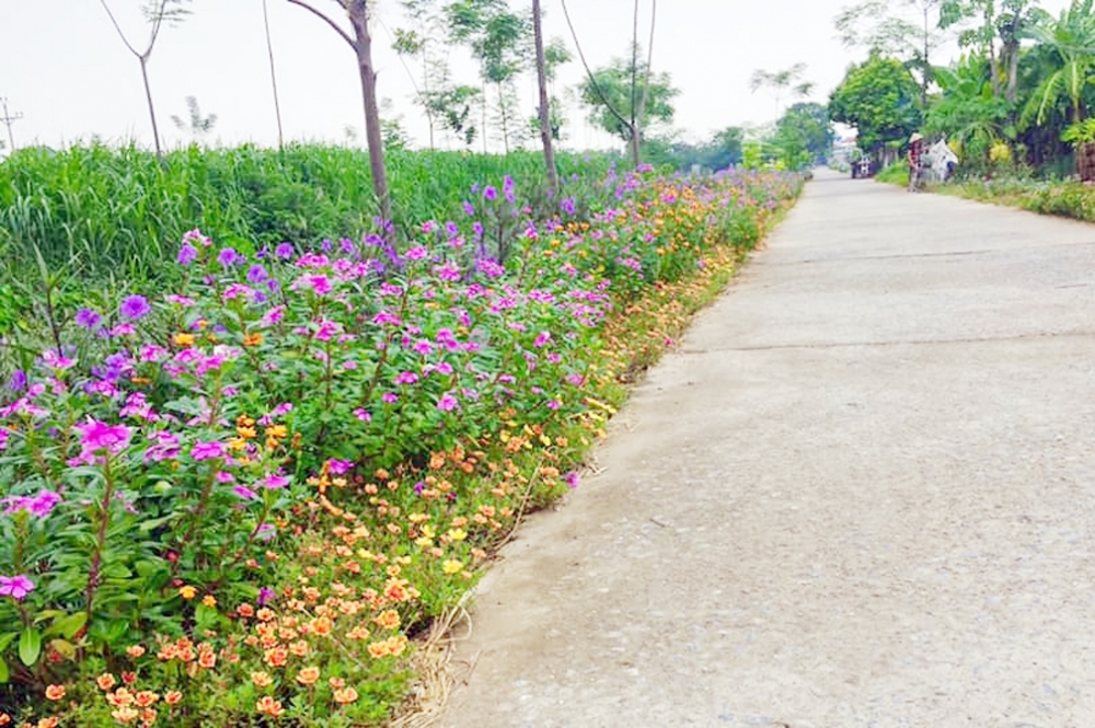 Phụ nữ Hà Nội phát động Cuộc thi đoạn đường, tuyến phố nở hoa