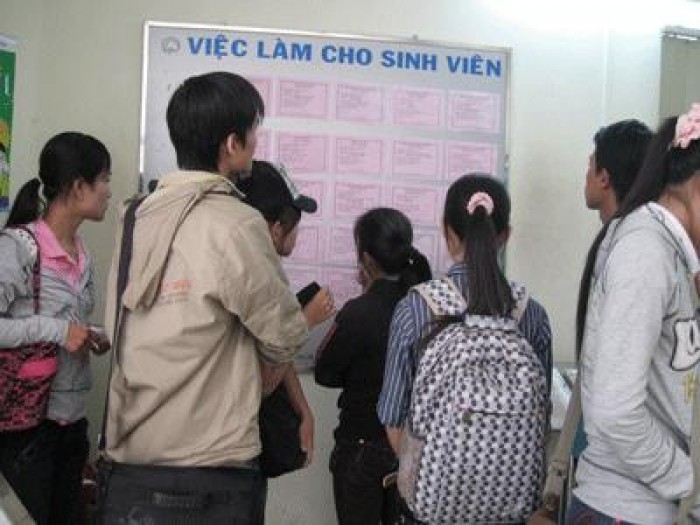 Kỹ sư, cử nhân đôn đáo kiếm kế sinh nhai