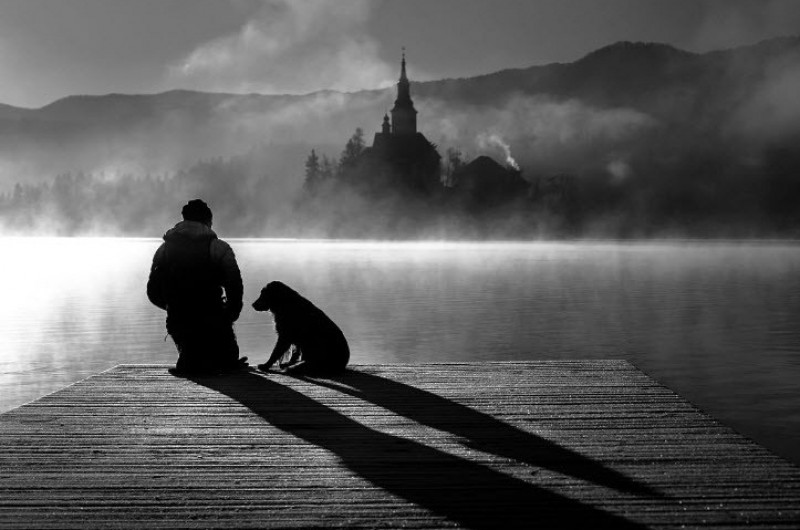 co mot ai do vua moi bo di