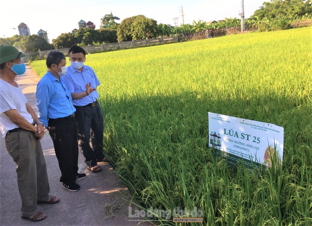 Hành trình gieo hương vào đất