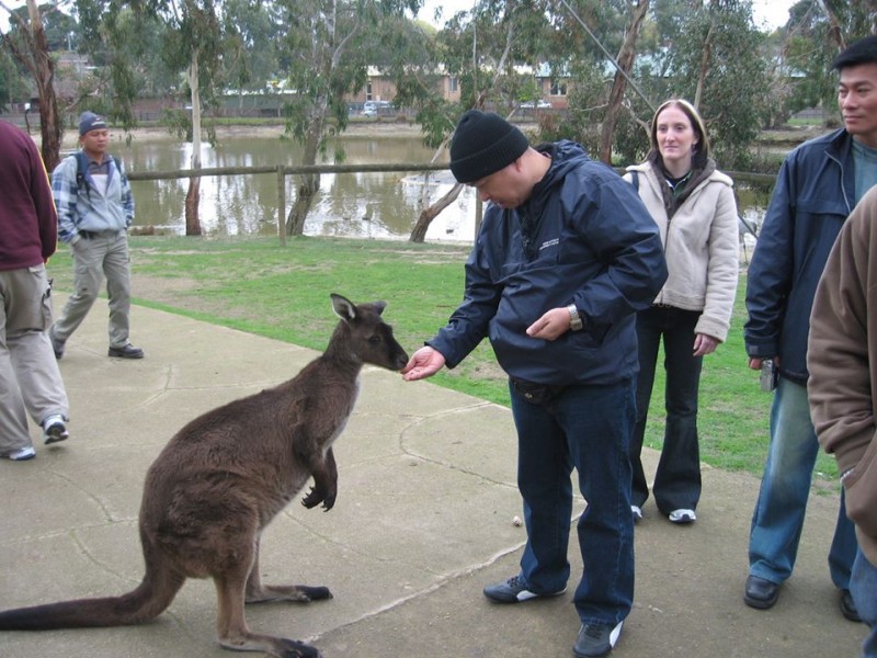 trai nghiem tuyet voi o xu so kanguru