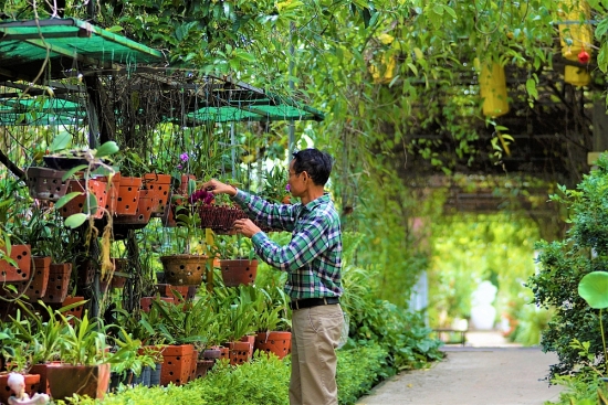 Nông dân Thủ đô xuất sắc tâm huyết với mô hình trang trại thực vật cảnh